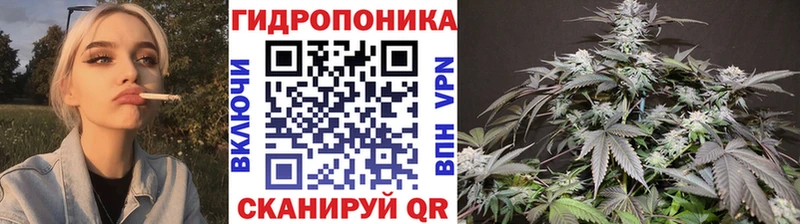 Марихуана планчик где найти наркотики Костерёво